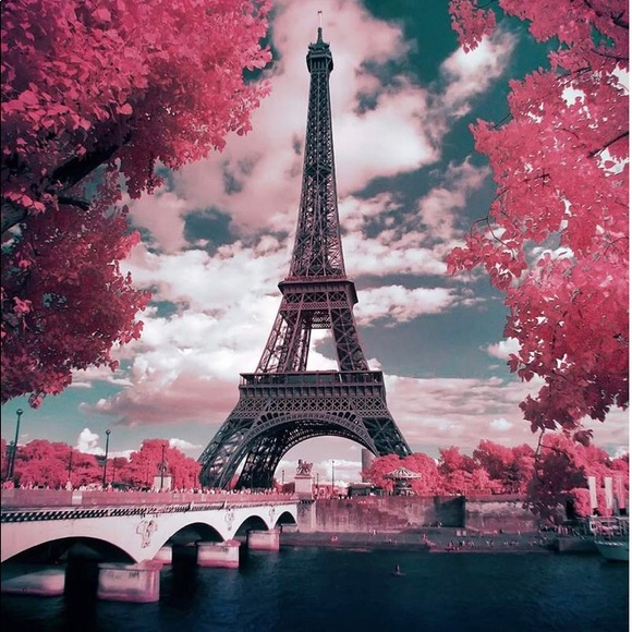 Meet your Posher, Dee - Picture 2 of 2